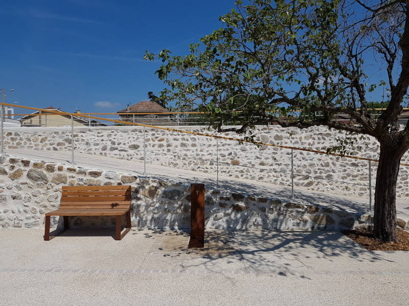 Banc sous un arbre verdoyant